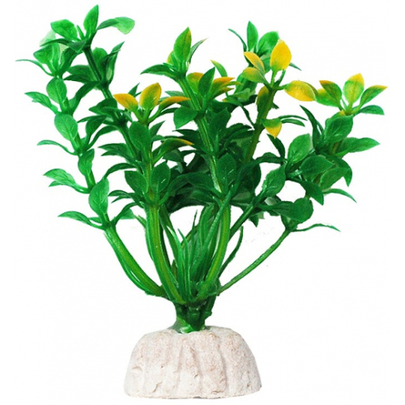 УЮТ Растение аквариумное Гемиантус зелено-желтый – интернет-магазин Ле’Муррр